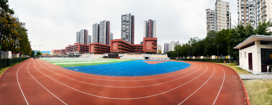 3  温江区鹏程小学操场.png