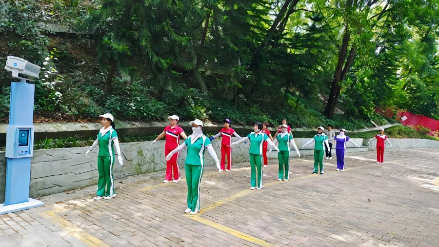 智慧广场舞系统助力深圳布心山公园声环境优化